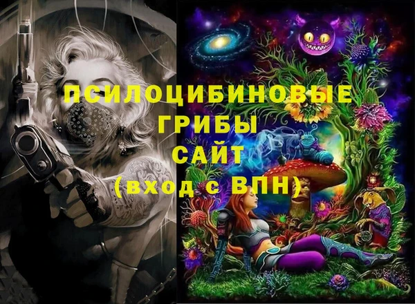 соль ск Абдулино