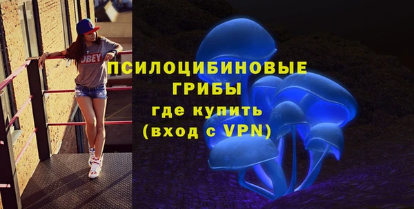 гидра Алзамай