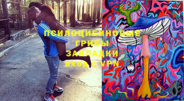 прущая мука Абаза