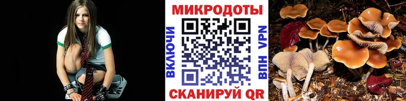 Псилоцибиновые грибы MAGIC MUSHROOMS  цена   Горбатов 
